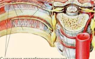 Болит спина немеет что делать