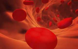 Эритроциты в моче эритроциты при беременности