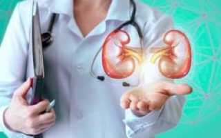 Можно ли пить перед узи почек — Почки