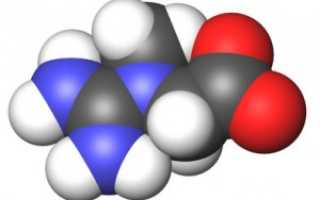 Повышен креатинин в крови: причины, симптомы, лечение