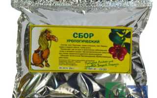 Как правильно заваривать урологический сбор