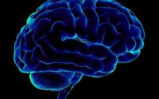 Болит голова кружится температуры нет