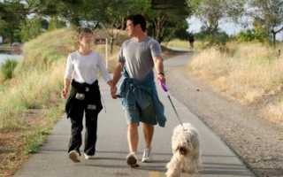 Методы лечения когда болит спина