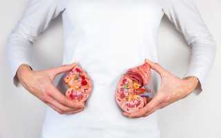 Узи почек при хпн