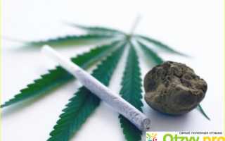 Сколько держится канопля в моче таблица — NET-ALKO