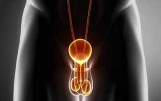 Обезболивающие свечи в урологии