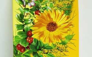 Урологический сбор — список с описанием и составом трав, как заваривать и принимать, отзывы и цены