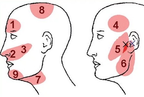 Весь день болит голова виски