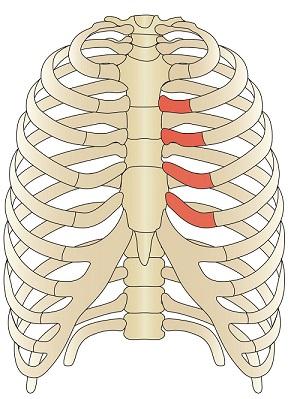 При глубоком вдохе болит спина и ребра