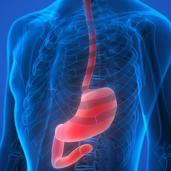 Почему болит левая лопатка на спине при вдохе