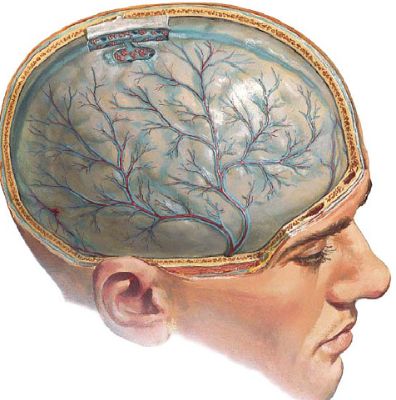 вечером поднимается температура и болит спина