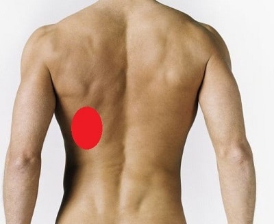 Почему болит левая лопатка на спине при вдохе