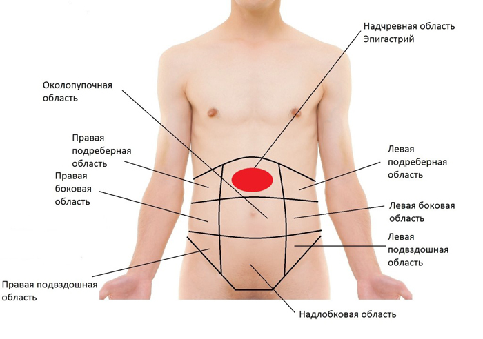 локализация боли в животе