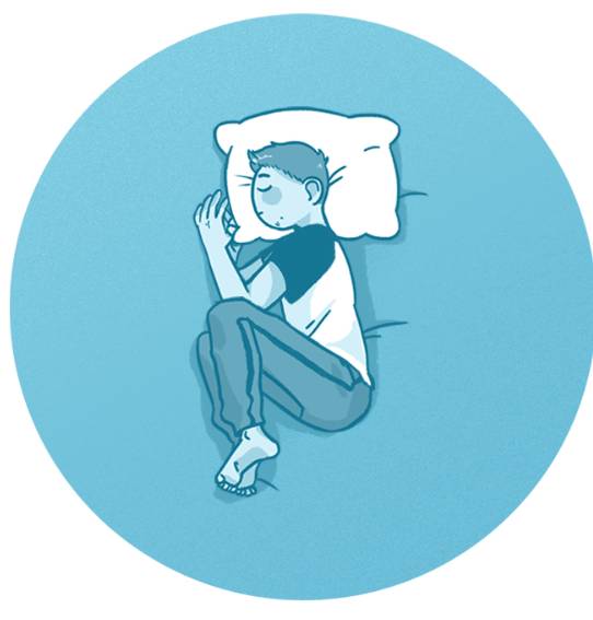 поза эмбриона, сон